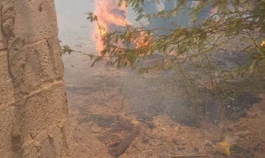 حريق هائل يدمر 180 نخلة وخلية للنحل في منطقة شقيه بمديرية شبام حضرموت.