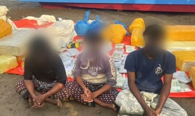 نصف طن حشيش بقبضة قوات الأمن قرب باب المندب بعد اشتباك مسلح مع مهربين.