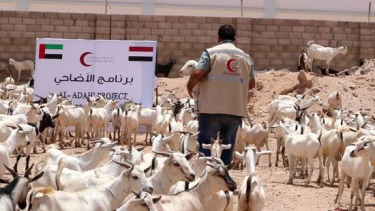 يستهدف 1612 أسرة.. هلال الإمارات يدشن برنامج الأضاحي في شبوة