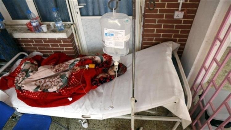 وفاة 14 حالة وإصابة 4 آلاف بحمى الضنك في عدن ولحج