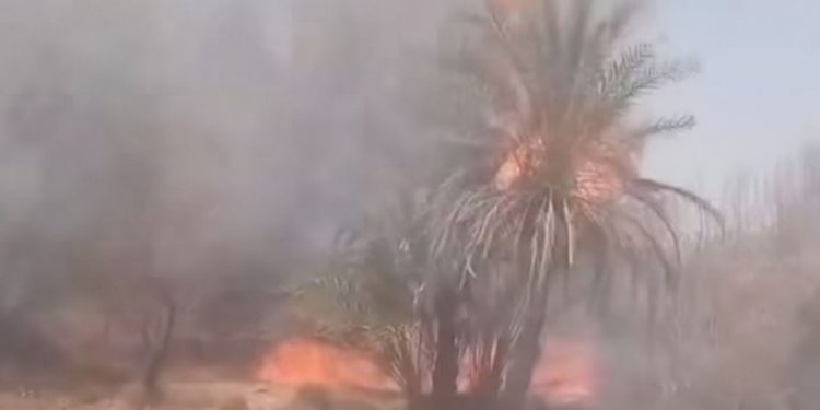 حريق يلتهم عشرات النخيل والأشجار في صيف بدوعن وجهود الأهالي تسيطر على الوضع