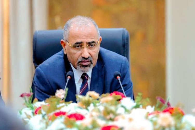 لقاءات الجنوب مع المجتمع الدولي.. مفاتيح استعادة الدولة وممرات تأمين الخدمات