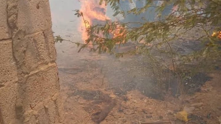 حريق هائل يدمر 180 نخلة وخلية للنحل في منطقة شقيه بمديرية شبام حضرموت.