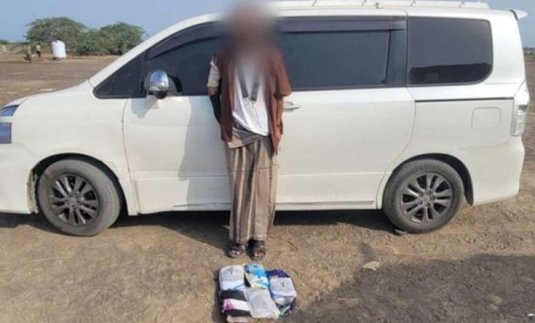 القبض على متهم بمحاولة تهريب كمية من الحشيش في أبين