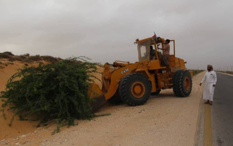 تنفيذية انتقالي حصوين تطلق مبادرة لإزالة أشجار السيسبان على الخط العام .