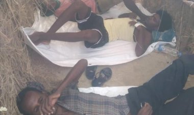 الكوليرا يفتك بالمهاجرين الأفارقة في أحور ومخاوف من انتقاله للمواطنين