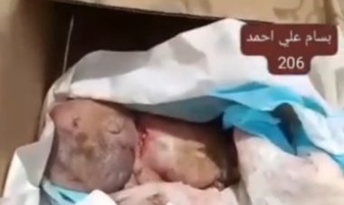 جر يمة مروعة تهز الضالع: ذبح طفلة حديثة الولادة ودفنها في كرتون.