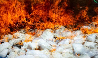 النيابة الجزائية والحزام الأمني يتلفان 609 كيلو جرامًا من المخدرات ضبطتها الحملة الأمنية المشتركة بمحافظة لحج