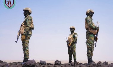 عملية أمنية نوعية لقوات دفاع شبوة تقود إلى كشف خيوط جريمة القتل .