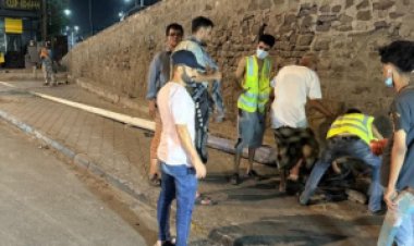 مدير عام صيرة يتفقد الأضرار الناتجة عن الرياح ويوجه بمعالجتها فورًا