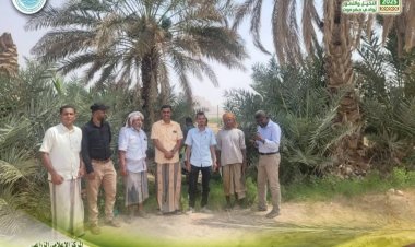 ضمن فعاليات مهرجان النخيل بوادي حضرموت… نزول ميداني لعدد من مزارع النخيل في منطقة صليلة بسيئون