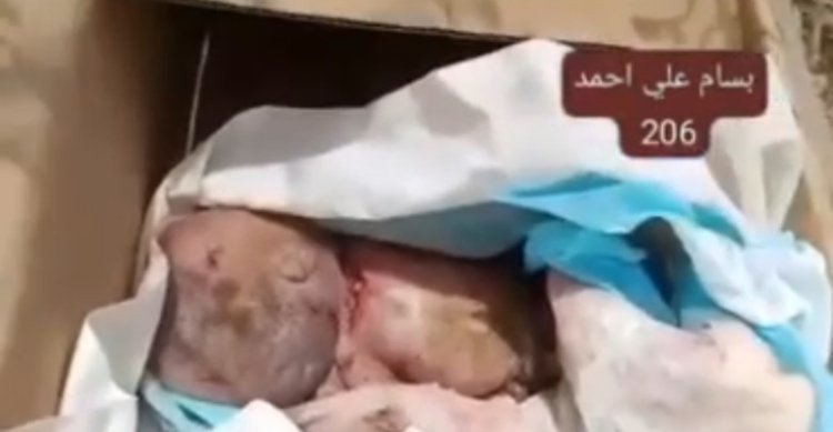 جر يمة مروعة تهز الضالع: ذبح طفلة حديثة الولادة ودفنها في كرتون.