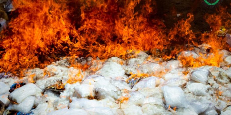 النيابة الجزائية والحزام الأمني يتلفان 609 كيلو جرامًا من المخدرات ضبطتها الحملة الأمنية المشتركة بمحافظة لحج