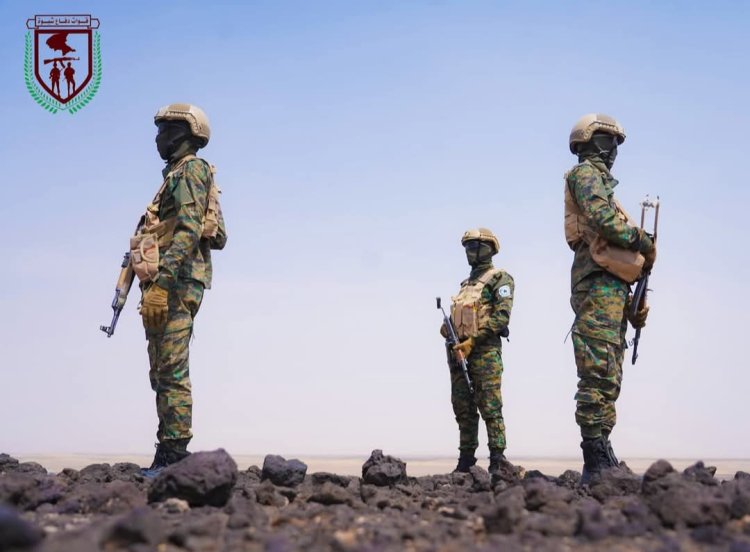 عملية أمنية نوعية لقوات دفاع شبوة تقود إلى كشف خيوط جريمة القتل .