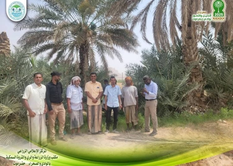 ضمن فعاليات مهرجان النخيل بوادي حضرموت… نزول ميداني لعدد من مزارع النخيل في منطقة صليلة بسيئون