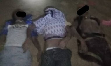 أمن أبين ينتشل جثث مهاجرين أفارقة قبالة سواحل زنجبار ويناشد المجتمع الدولي التدخل لوقف التدفق عبر المياه الإقليمية