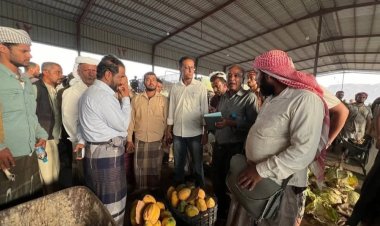 مدير عام مكتب وزارة الزراعة والري بوادي حضرموت ومدير التسويق بوزارة الزراعة في زيارة ميدانية للسوق المركزي للخضروات والفواكه بسيئون