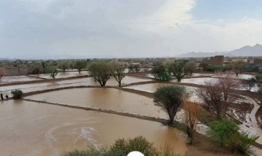 محافظ شبوة يوجه بسرعة رصد الأضرار وأمطار غزيرة وسيول جارفة تتسبب بوفاة 6 أشخاص وتضرر الممتلكات