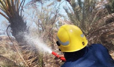 إخماد حريق في بستان نخيل بسقطرى