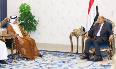 رئيس الوزراء يستقبل في عدن السفير الإماراتي لدى اليمن