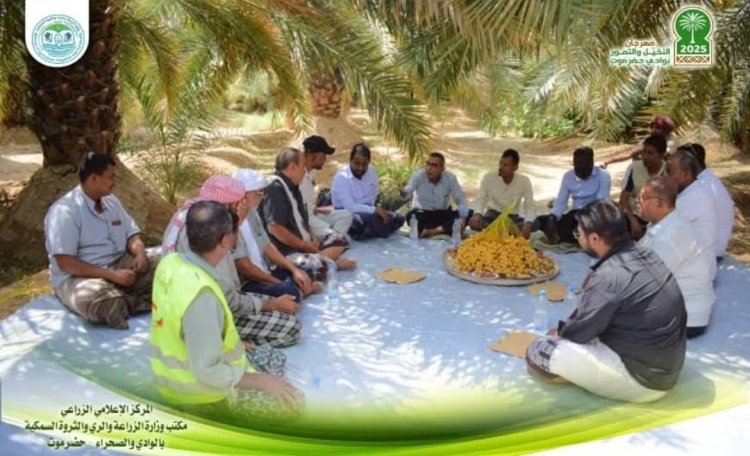 زيارة ميدانية لمدير عام الزراعة إلى مزرعة النخيل النموذجية بسيئون ضمن فعاليات مهرجان النخيل والتمور