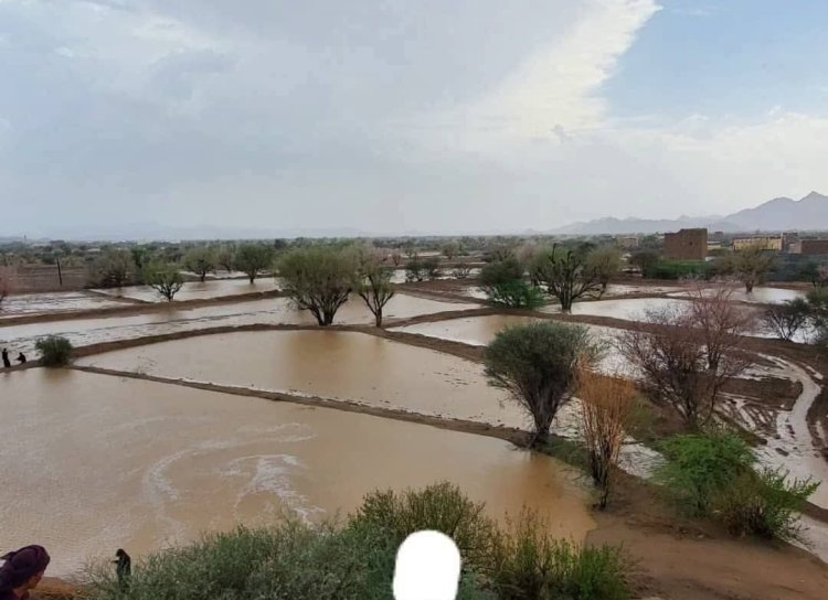 محافظ شبوة يوجه بسرعة رصد الأضرار وأمطار غزيرة وسيول جارفة تتسبب بوفاة 6 أشخاص وتضرر الممتلكات