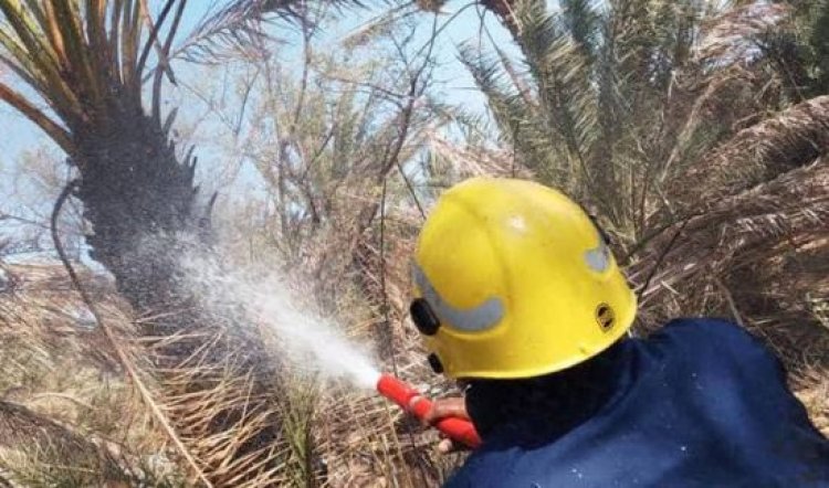 إخماد حريق في بستان نخيل بسقطرى