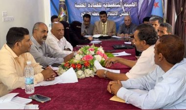 تنفيذية انتقالي الضالع تناقش مستوى الانضباط الإداري وتعزيز الأداء المؤسسي