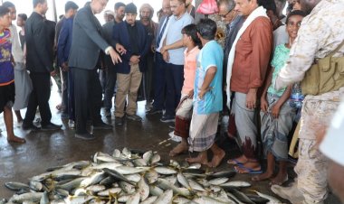 محافظ حضرموت يطلع على مستوى الإنجاز في مشروع مركز الانزال السمكي بمنطقة الريدة الشرقية