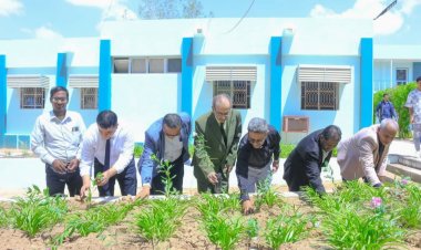 كلية المجتمع بسيئون تحتفي باليوم العالمي للأوزون بزراعة 100 شجرة