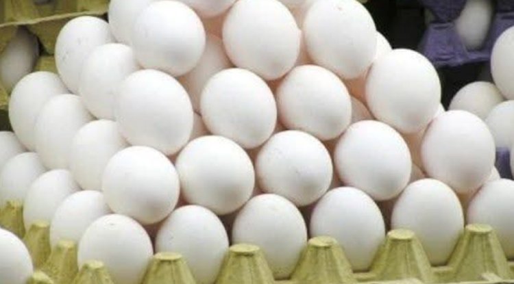 مكتب الصناعة والتجارة بساحل حضرموت يوضح سعر طبق البيض الكبير للمستهلك