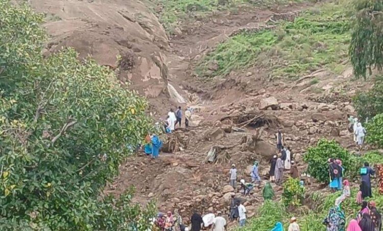 انتشال 100 جثة من موقع كارثة الانزلاق الأرضي في دارفور بابا الفاتيكان يدعو إلى استجابة منسق