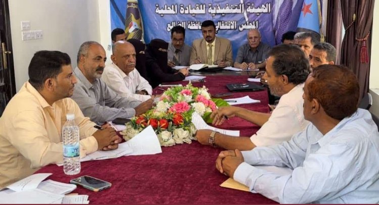 تنفيذية انتقالي الضالع تناقش مستوى الانضباط الإداري وتعزيز الأداء المؤسسي