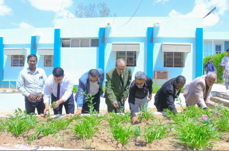 كلية المجتمع بسيئون تحتفي باليوم العالمي للأوزون بزراعة 100 شجرة