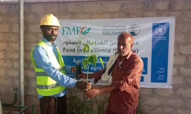 السلطة المحلية بمديرية ساه تدشن توزيع شتلات زراعية ضمن مشروع "من الغذاء إلى الصمود"