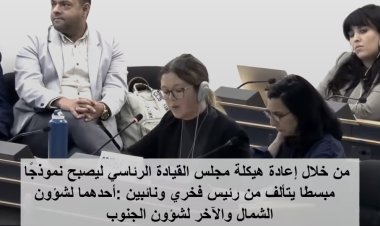 المنظمة الدولية للبلدان الأقل نمواً تدعو لإعادة هيكلة مجلس القيادة وتشكيل حكومتين انتقاليتين للشمال والجنوب