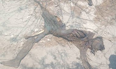 العثور على جثة متحللة في وادي أحور