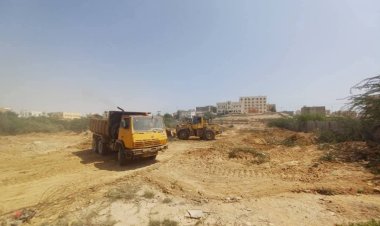 مؤسسة الطرق والجسور تزيل أشجار السيسبان من محيط سوق الخضار بالغيضة استجابةً لمطالبات الجهات الأمنية