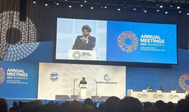 وزير التخطيط ومحافظ البنك المركزي يشاركان في الجلسة العامة للاجتماعات السنوية لمجموعة البنك وصندوق النقد الدوليين