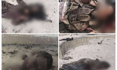 العميد نصر اليافعي: قواتنا أفشلت هجوماً إرهابياً للقاعدة في أبين وحققت انتصاراً كبيراً على عناصر الشر والإرهاب