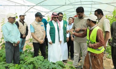 فريق من السلطة المحلية ومركز الملك سلمان يطلع على تدخلات مشروع "من الغذاء إلى الصمود" بمديرية الغيضة