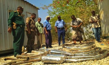 شرطة السير بأمن وشرطة ساحل حضرموت تضبط عددًا من الدراجات النارية المخالفة