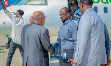 وفد وزاري يمني يزور جمهورية الصومال الفيدرالية لتعزيز التعاون في مجالات الثروة السمكية