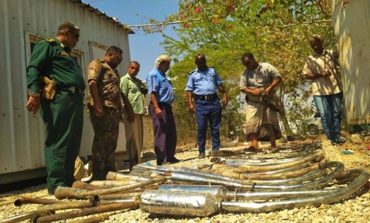 شرطة السير بأمن وشرطة ساحل حضرموت تضبط عددًا من الدراجات النارية المخالفة