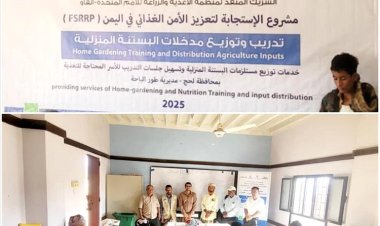 لحج.. تدشين دورة تدريبية لإنشاء حدائق منزلية بمديرية طور الباحة