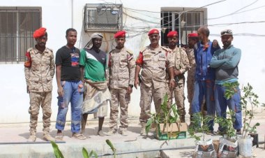 الشرطة العسكرية في المكلا تنفذ حملة تشجير لتحسين بيئة العمل في ساحة القيادة