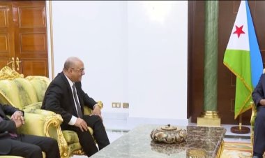 الرئيس الجيبوتي يستقبل وزير التخطيط والتعاون الدولي