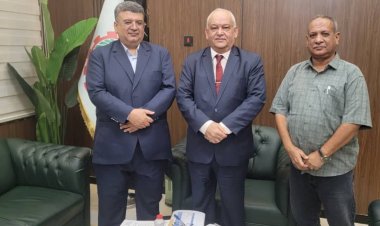 جامعة المهرة تستكمل فتاوى الخانات الوظيفية المخصصة للأكاديمين والإداريين