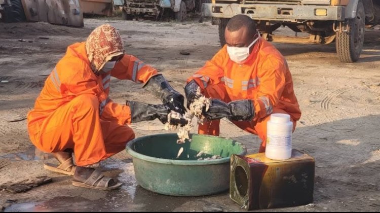 صندوق النظافة بالغيضة ينفذ حملة واسعة للقضاء على الكلاب الضالة