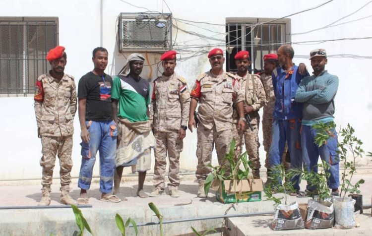 الشرطة العسكرية في المكلا تنفذ حملة تشجير لتحسين بيئة العمل في ساحة القيادة